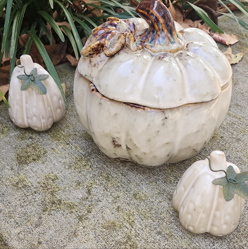 Ceramic Pumpkin Decor Set in Cream - Picture 4 of 6
